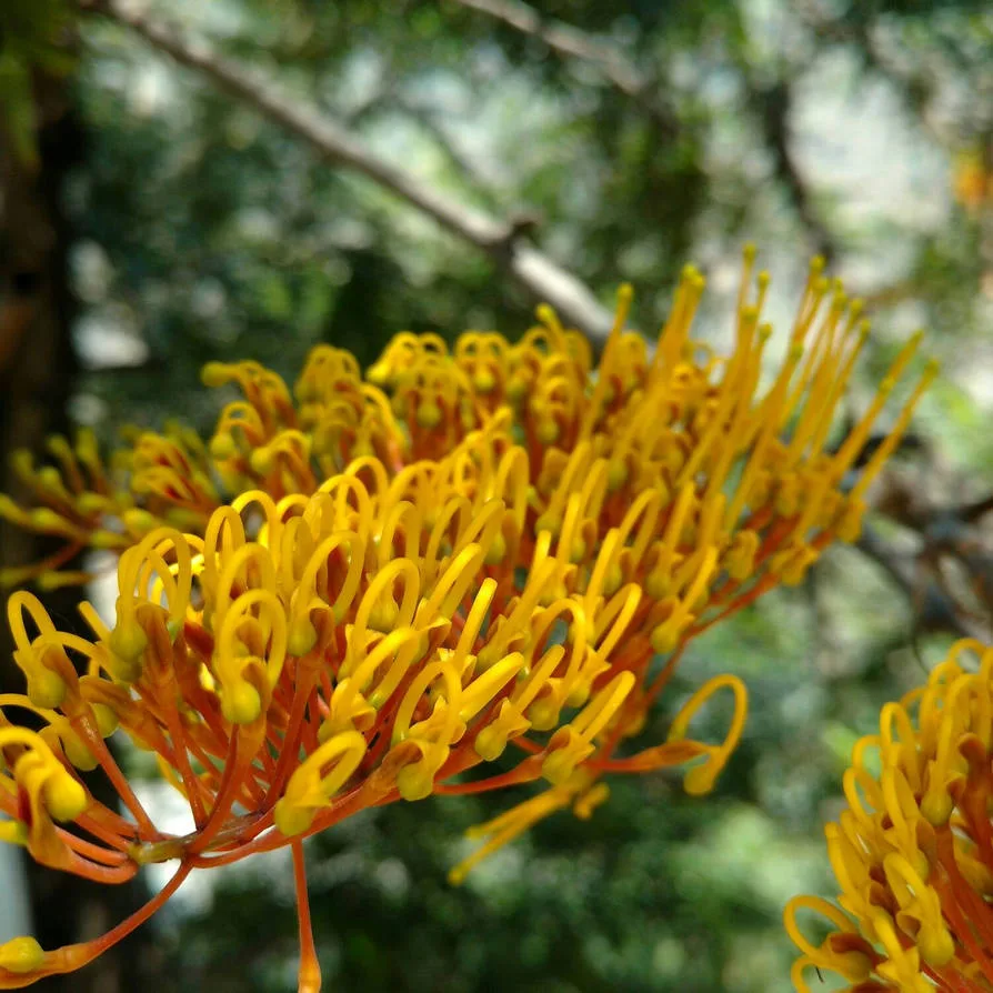 Some of my clicks on - Nature